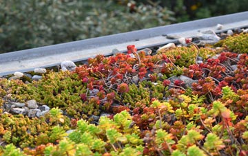 the cost of Kings Furlong green roof installation