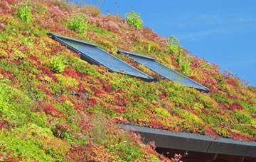 Kings Furlong living roof systems