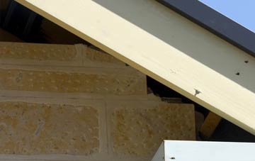 soffit repair Kings Furlong