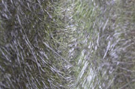 Kings Furlong fibreglass roof work